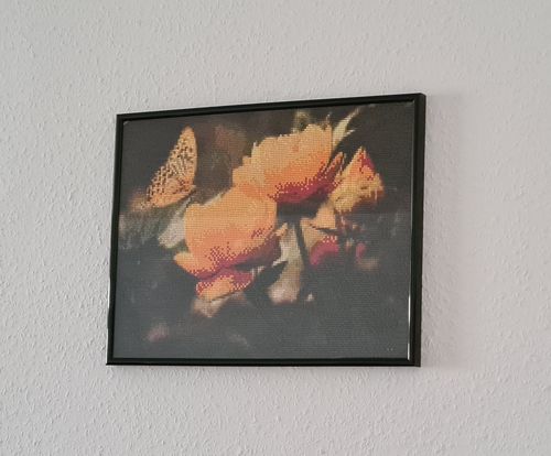 Kundenbewertung mit Foto zu Schmetterling auf oranger Blüte