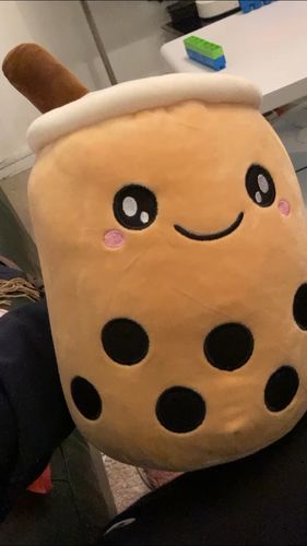 Customer photo review of Reversible Bubble Tea Plush Pillow