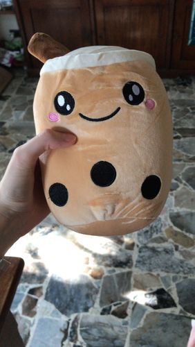 Customer photo review of Reversible Bubble Tea Plush Pillow