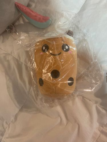 Customer photo review of Reversible Bubble Tea Plush Pillow