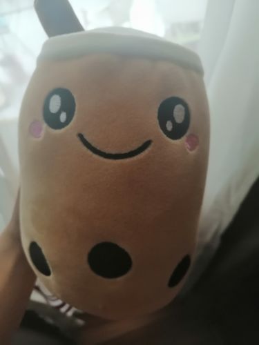 Customer photo review of Reversible Bubble Tea Plush Pillow