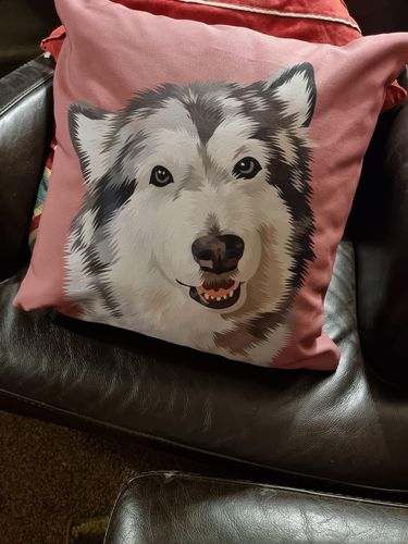 Customer photo review of Custom Pet Couch Pillow with Cover