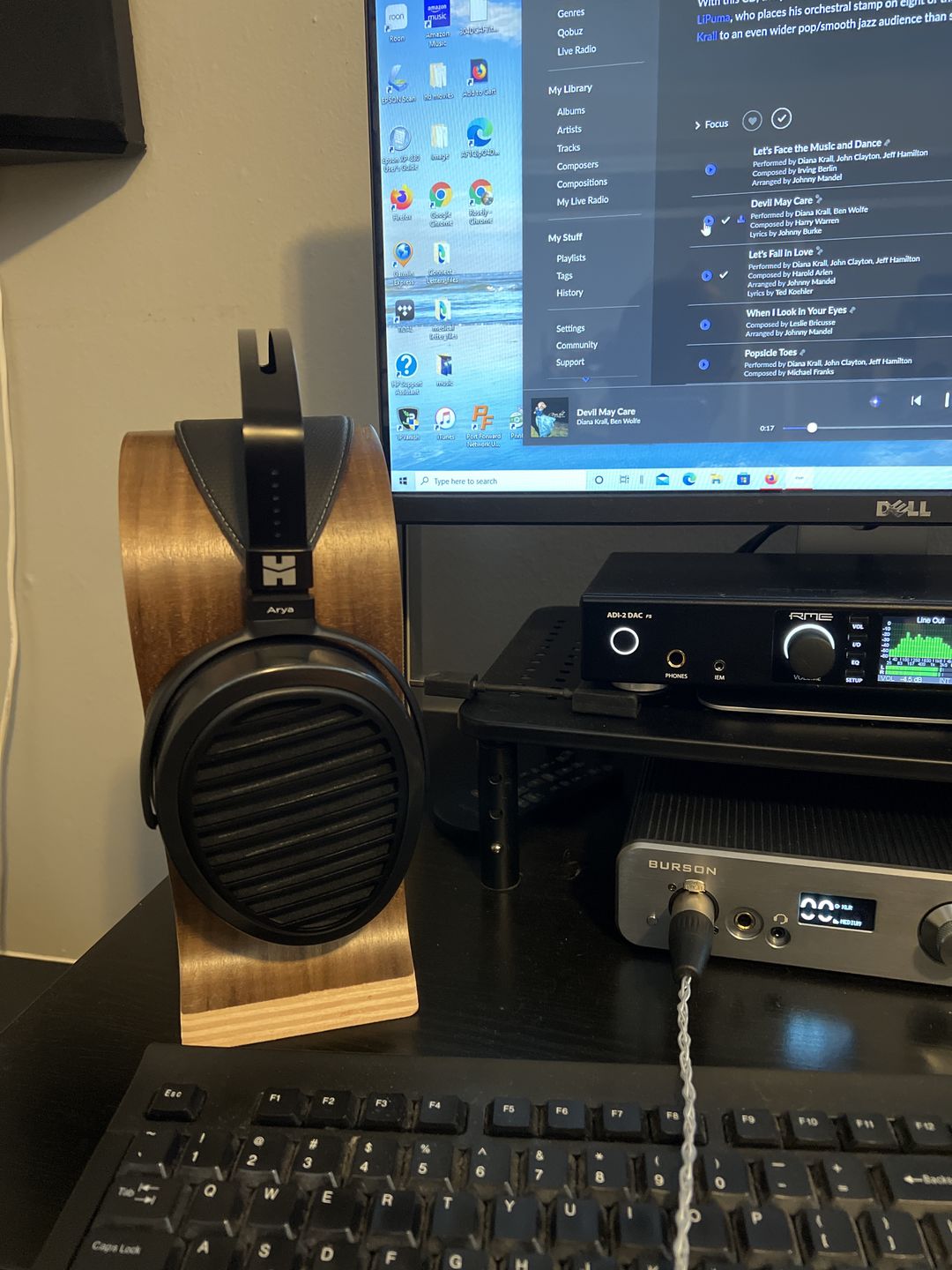 Customer photo review of Hifiman Arya Headphones | Stealth Magnets Edition