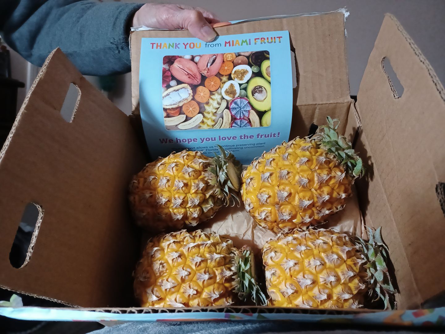 Customer photo review of Pineapple Box