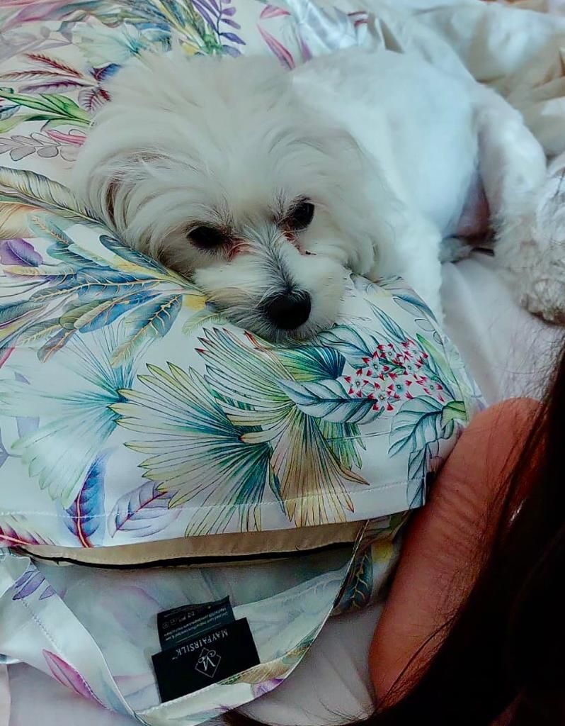 Customer photo review of Iridescent Garden Pure Silk Pillowcase