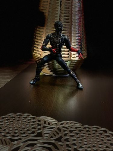 Customer photo review of Hasbro Marvel Legends : Spider Man - BAF Armadillo