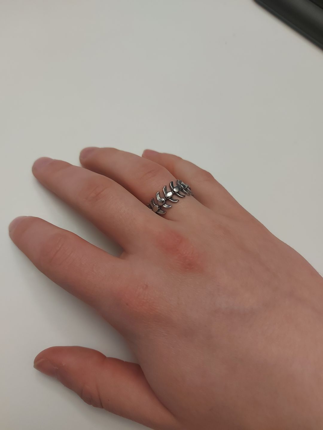 Customer photo review of STEEL SPINE.