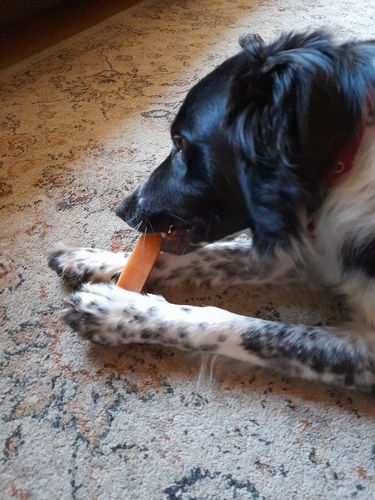 Customer photo review of BAF Yak Chews