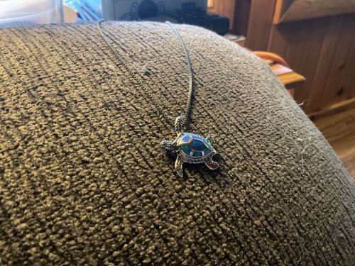 Customer photo review of Save a Dolphin Necklace