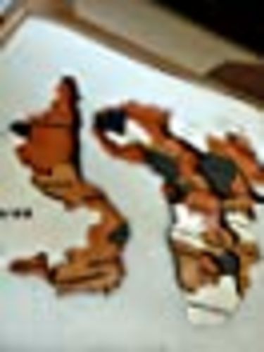 Customer photo review of 3D Wooden World Map Home Wall Decor Travel Map Anniversary Gift Christmas Gift