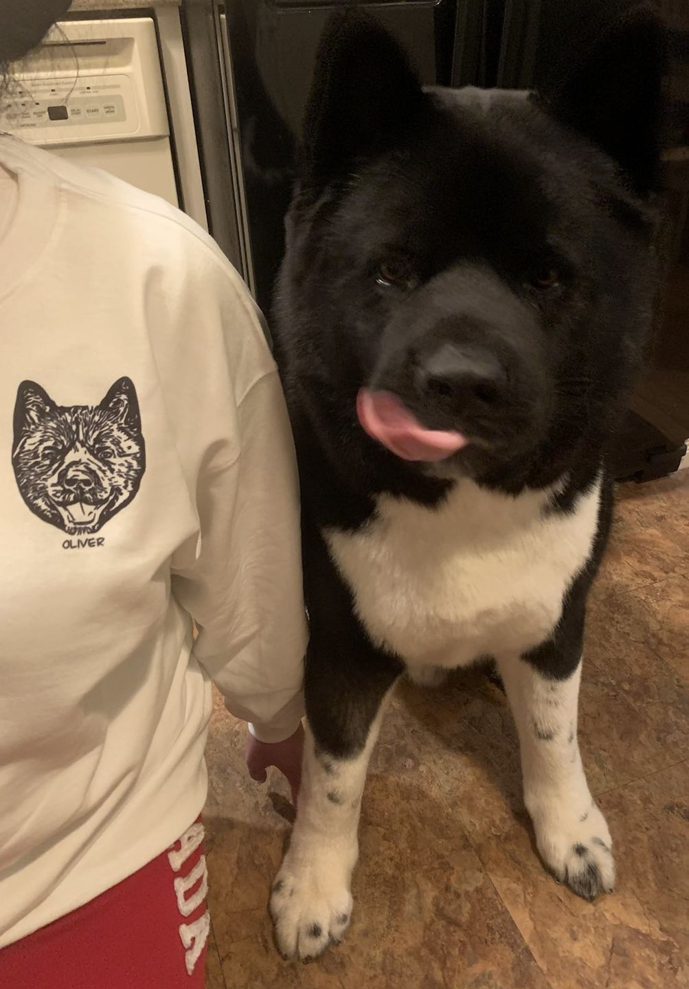 Customer photo review of Custom Pet Crewneck Sweater