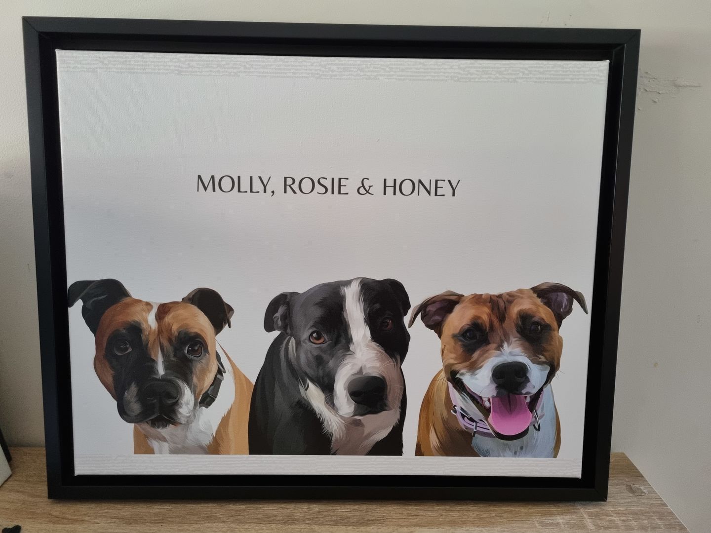 Customer photo review of Custom Pet Portrait (Digital Copy)