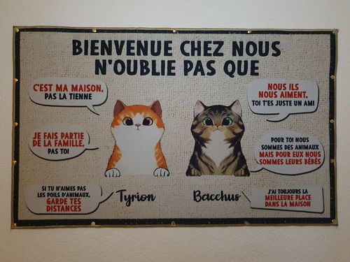 Customer photo review of Tapis Personnalisé "Bienvenue chez moi"