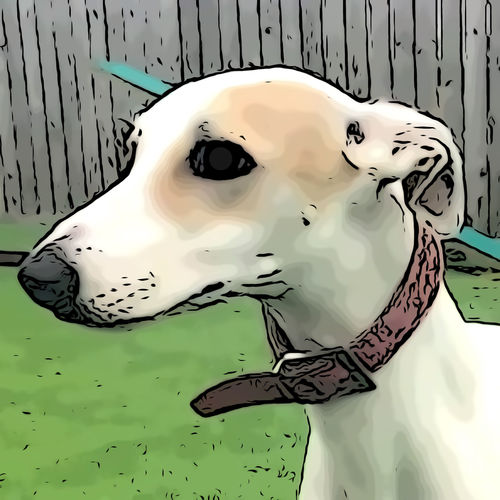 Customer photo review of Exclusive - Premium Print / Framed