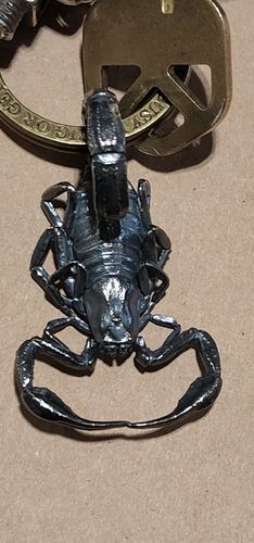 Customer photo review of Scorpion Pendant | 925 Aging Silver