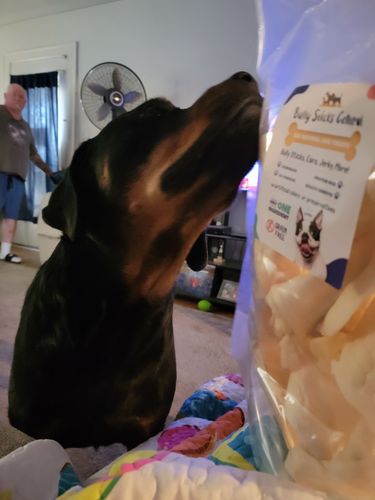 Customer photo review of Cow Ears For Dogs