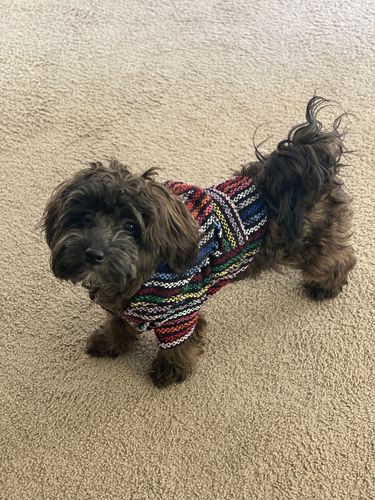 Customer photo review of Playa Poncho