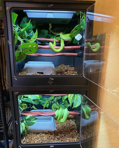 Customer photo review of XC18 (18x18x18) - STACKABLE