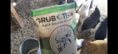 Customer photo review of GrubTerra Dried Larvae