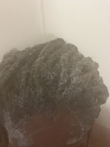 Customer photo review of Peculiar Locs Shampoo Bar