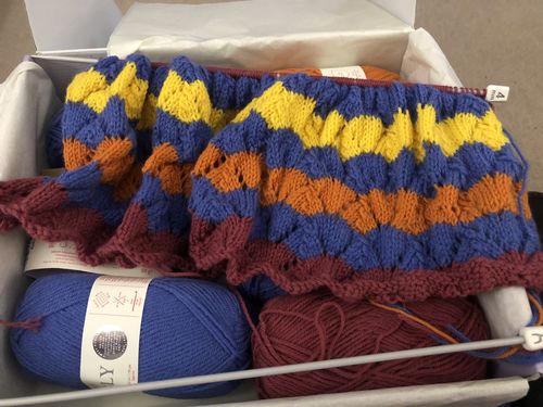 Customer photo review of Feb 2022 Baby-Girl Box