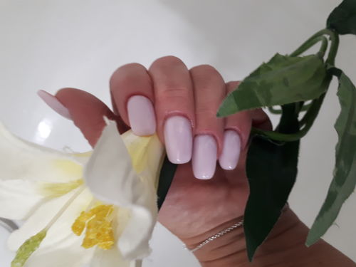 Customer photo review of Gel Polish Didier Lab Natural Look No6