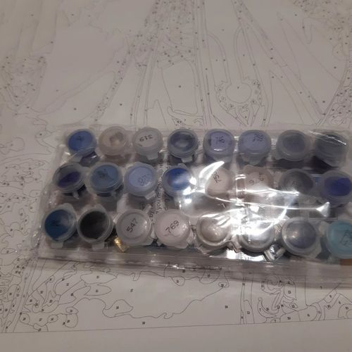 Customer photo review of קנבס צביעה בהתאמה אישית - 24 צבעים