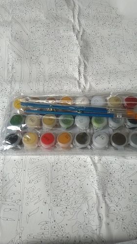 Customer photo review of קנבס צביעה בהתאמה אישית - 24 צבעים
