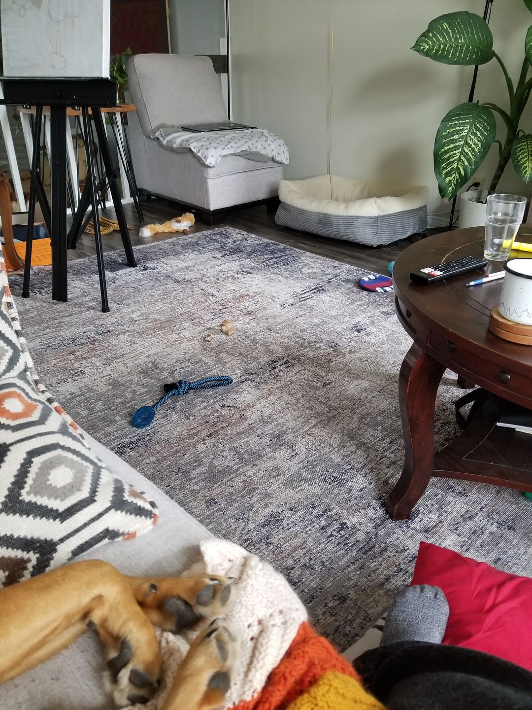 Customer photo review of Abstract Border Echo Blue Grey Rug
