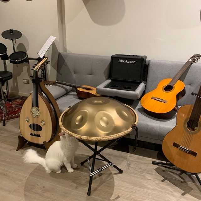 Customer photo review of AS TEMAN Handpan Pure Golden 9 Notes D Minor Scale Handpan drum with gift set