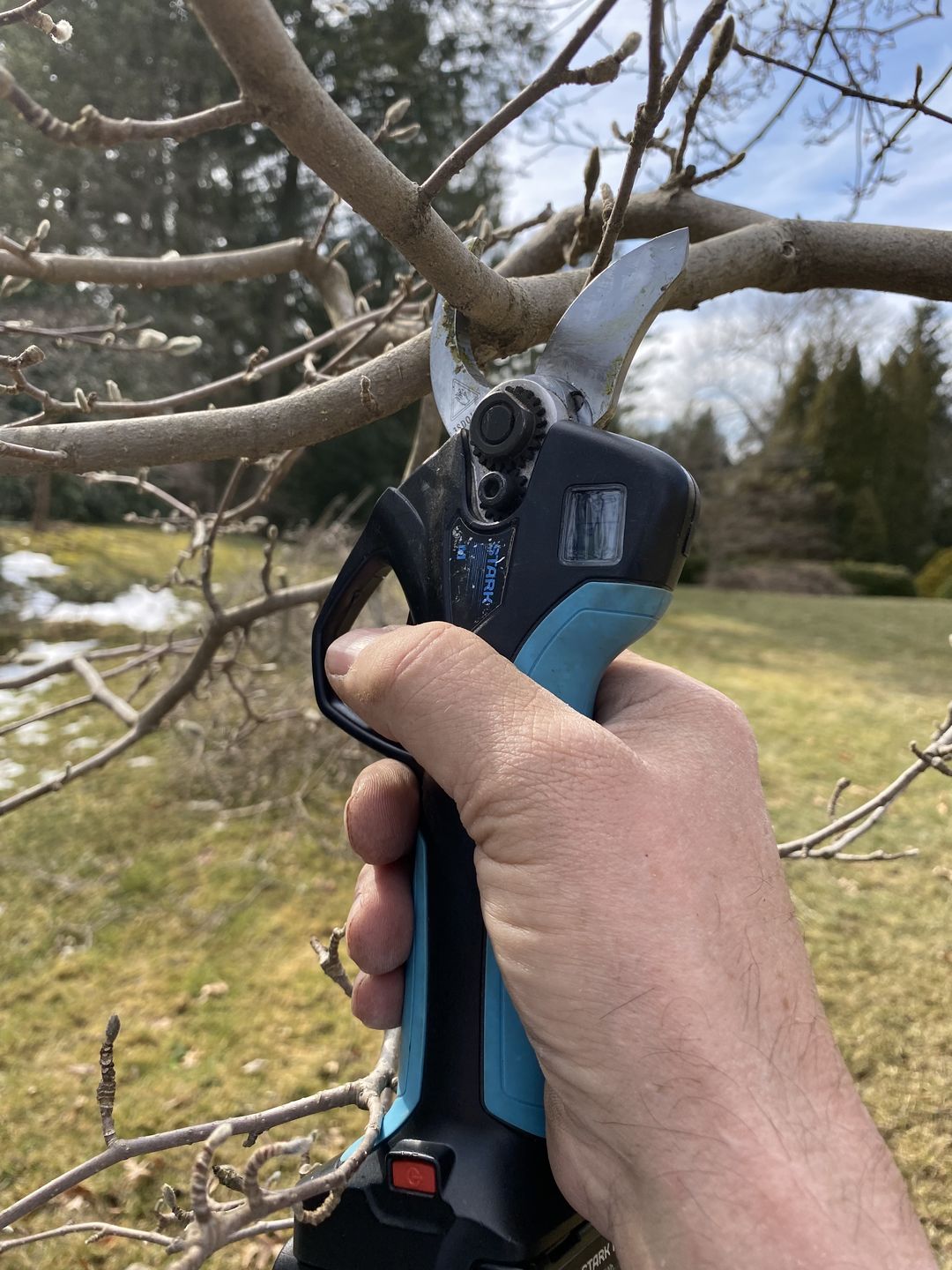 Customer photo review of Cordless Electric Pruning Shear with 2 Rechargeable Batteries- Stark M