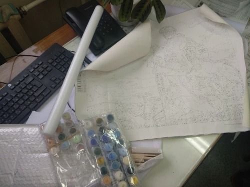 Customer photo review of קנבס צביעה בהתאמה אישית - 24 צבעים