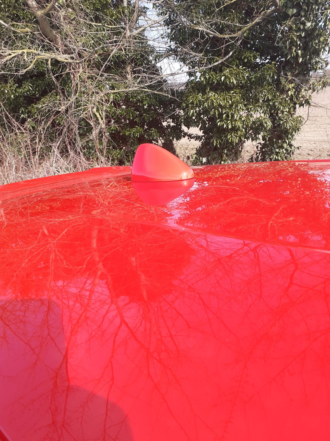 Customer photo review of Proform New 'Shark Fin' Aerial - Mk8 Ford Fiesta / Mk2 Puma