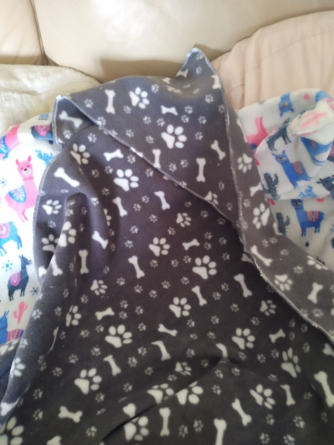 Customer photo review of Paw Print & Bones Anti Pill Polar Fleece Fabric