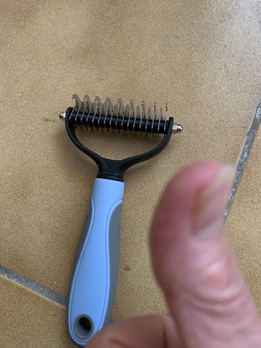 Customer photo review of Peigne de Toilettage Professionnel PuppySafe™