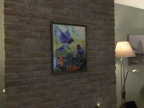 Customer photo review of Roodborstjes Bij Emmer | Morgen in Huis