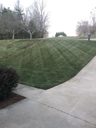 Customer photo review of Protene Performance Spring Fertilizer