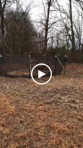 Customer video review of Pig Brig Trap System