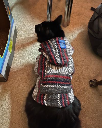 Customer photo review of Playa Poncho