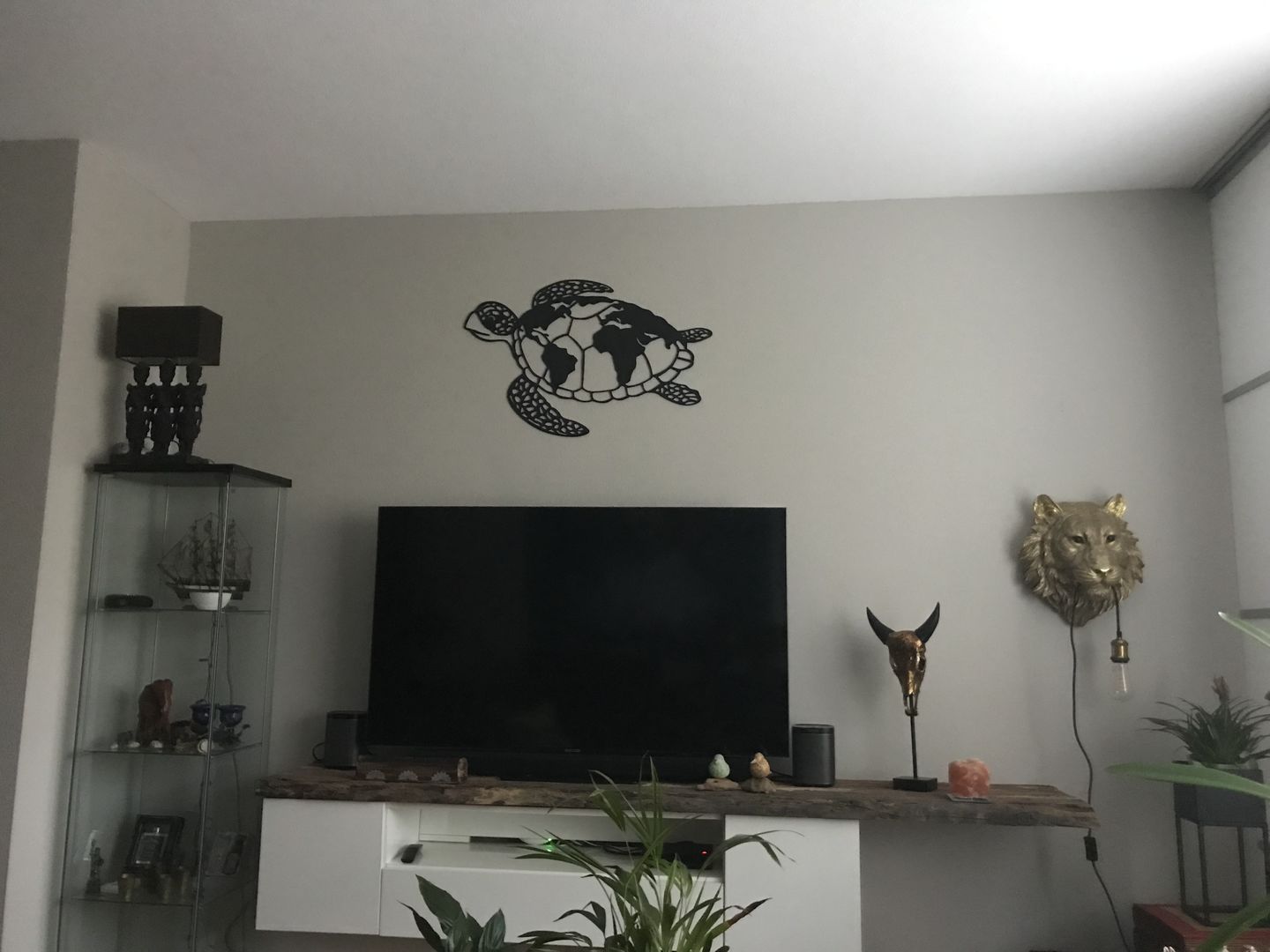 Customer photo review of Wanddecoratie dieren | Schildpad