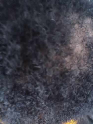 Customer photo review of BEST SELLER! | Chad and India’s Root to Tip Bundle| 3 sizes to choose from