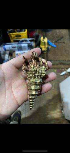 Customer photo review of Bronze Hermit Crab Bottle Opener