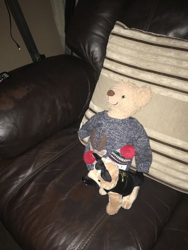 Customer photo review of Eddy The Teddy Bear
