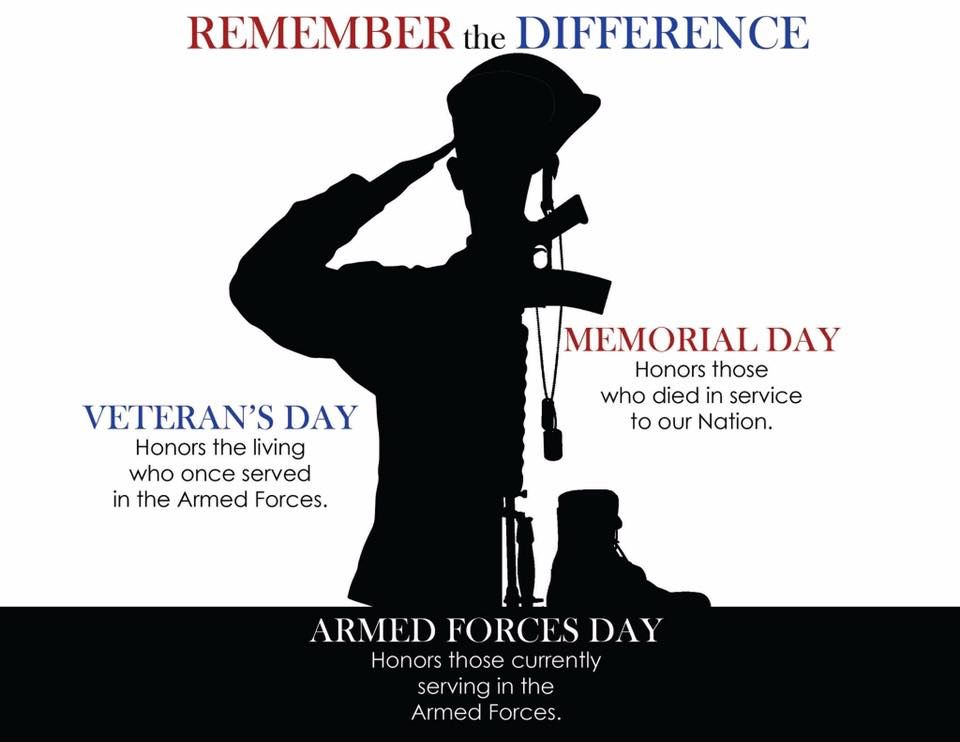 Customer photo review of US Army Veteran's Day Pin