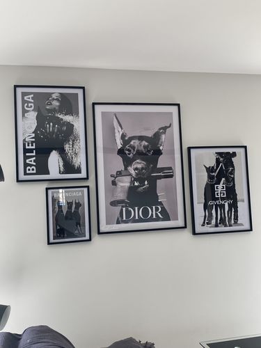 Customer photo review of Balenciaga Doberman Poster
