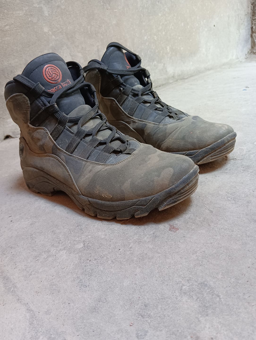 Customer photo review of Bacca Bucci Wolf