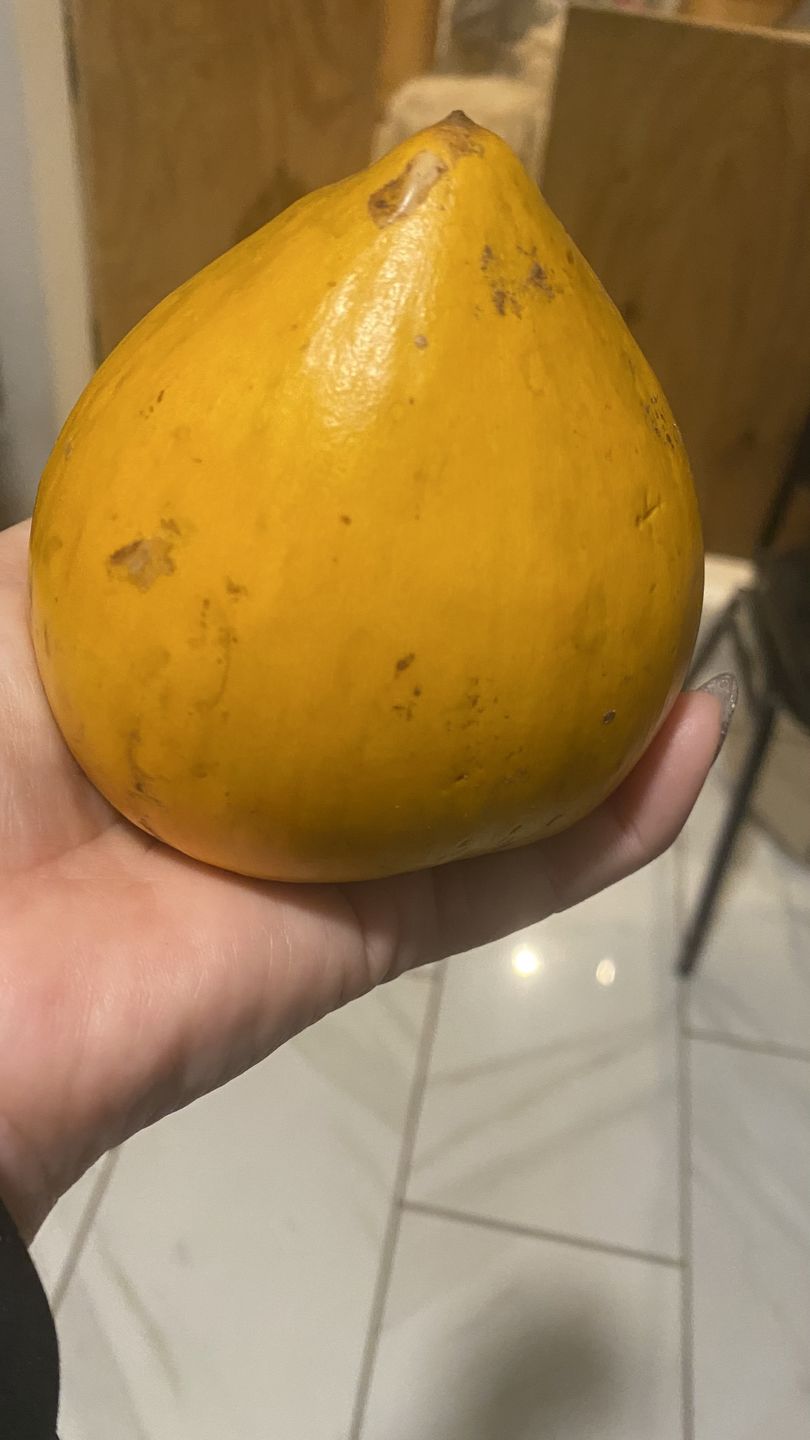 Customer photo review of Eggfruit (Canistel) Box
