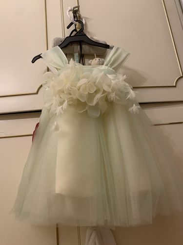 Customer photo review of Green Flowers Fluffy Princess Dress