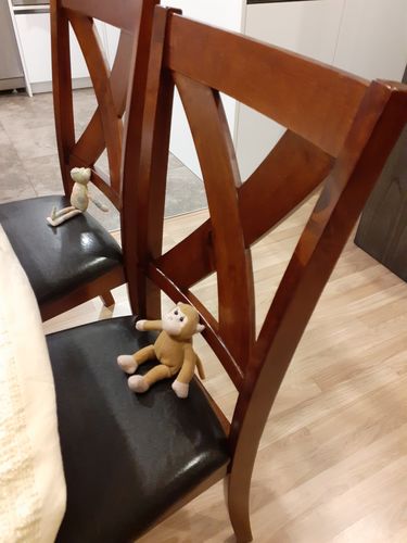 Customer photo review of Hammis Dining Chair