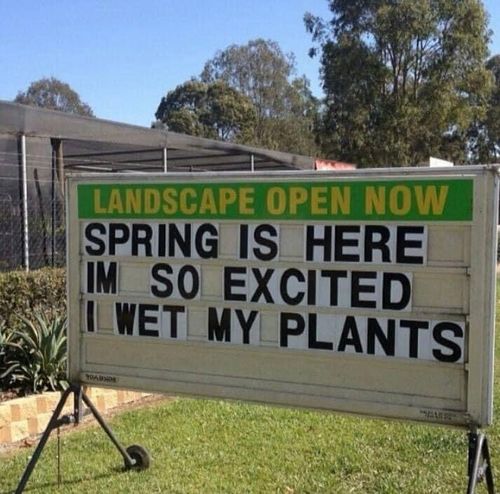 Customer photo review of Garden Consultation